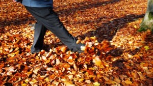 walking on leaves